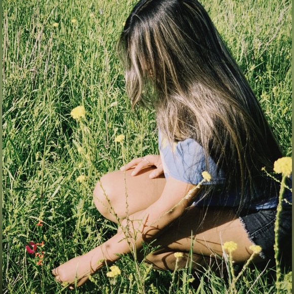 Meet your Posher, Nevaeh - Picture 1 of 1